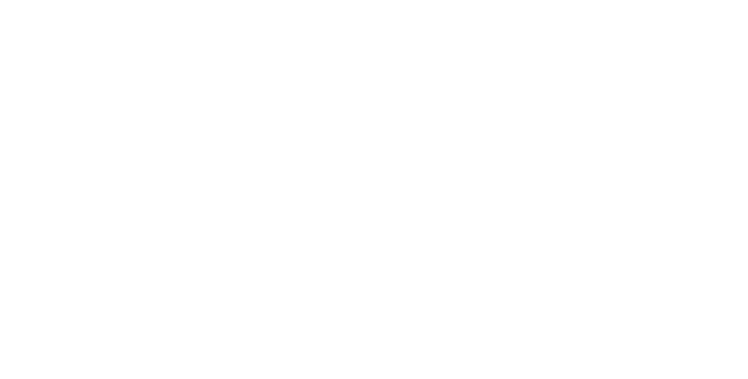 elvan logo white